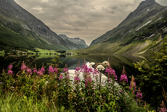 20240803 Solvang Norge<br /> Vybild ˆver vaockra Solvang ovanfˆr Geirangerfjorden<br /> óó-<br /> FOTO : JOACHIM NYWALL KOD 0708840825_1<br /> COPYRIGHT JOACHIM NYWALL<br /> ***BETALBILD***<br /> Redovisas till<br /> NYWALL MEDIA AB<br /> Villa Strˆmsvik<br /> 461 56 Trollh‰ttan<br /> Prislista enl BLF , om inget annat avtalas.