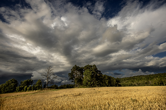 20230727 Trollhättan Västra Tunhem Orolig himmel över Hunneberg Foto: Joachim Nywall FOTO : JOACHIM NYWALL KOD 0708840825_1 COPYRIGHT JOACHIM NYWALL ***BETALBILD*** Redovisas till NYWALL MEDIA AB Strandgatan 30