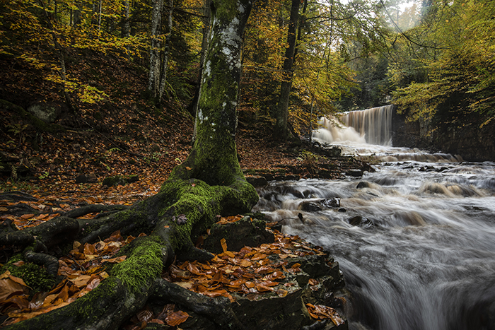2020 10 22 Vänersborg Vargön Byklevsfallet på Hunnebergs sluttning i Vackra höst färger FOTO JOACHIM NYWALL KOD0708840825 COPYRIGHT JOACHIMNYWALL:SE ****BETALBILD**** Redovisas till: Joachim Nywall Strandgatan 30 461 31 Trollhättan Prislista: BLF, om ej annat avtalats
