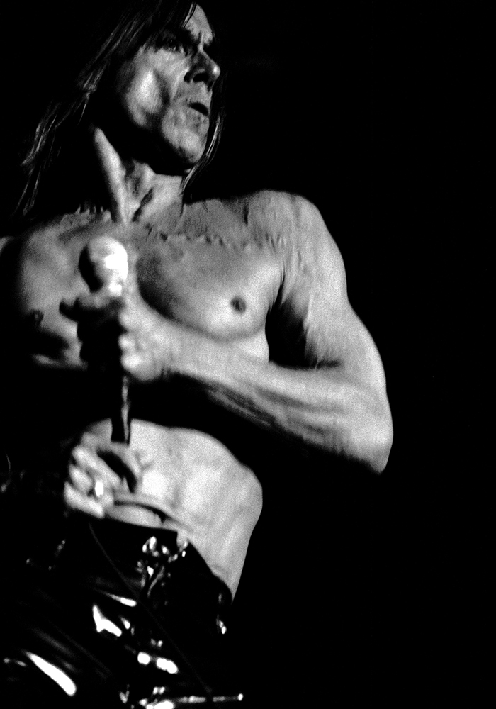 Hultsfred 1996 Hultsfredsfestivalen Iggy Pop FOTO JOACHIM NYWALL KOD0708840825 COPYRIGHT JOACHIMNYWALL:SE ****BETALBILD**** Redovisas till: Joachim Nywall Strandgatan 30 461 31 Trollhättan Prislista: BLF, om ej annat avtalats