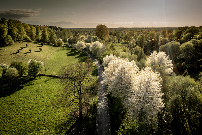 20230518 Lerdala Skaraborg Vårbilder runt Bockaskedåsen - Toran Foto: Joachim Nywall FOTO : JOACHIM NYWALL KOD 0708840825_1 COPYRIGHT JOACHIM NYWALL ***BETALBILD*** Redovisas till NYWALL MEDIA AB Strandgatan 30 461 31 Trollhättan Prislista enl BLF , om inget annat avtalas.