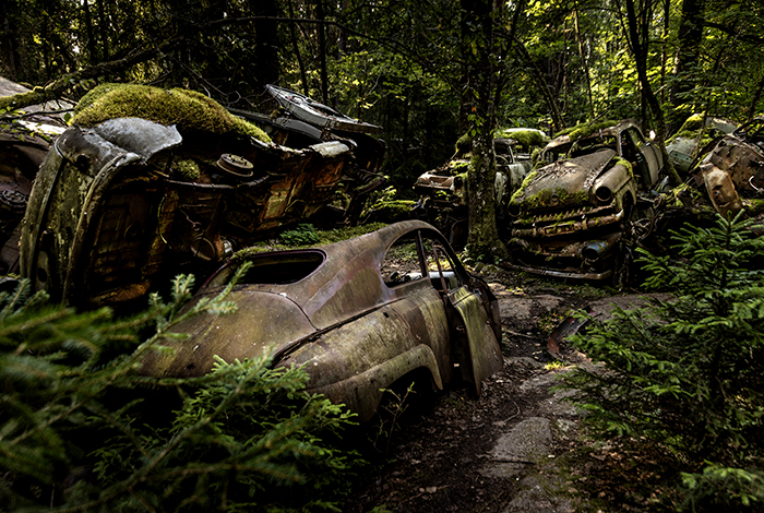 20240802 Båstnäs Värmland Båstnäs bilkyrkogård Hela skogen är full av bilar mellan 800 och 1000 bilar finns i den Värmländska skogen ---- FOTO : JOACHIM NYWALL KOD 0708840825_1 COPYRIGHT JOACHIM NYWALL ***BETALBILD*** Redovisas till NYWALL MEDIA AB Villa Strömsvik 461 56 Trollhättan Prislista enl BLF , om inget annat avtalas.