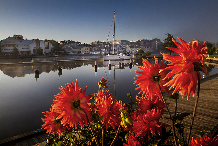 Trollhättan 2014 09 04 Spikön Gästhamnen på Spikön ---- FOTO : JOACHIM NYWALL KOD 0708840825_1 COPYRIGHT JOACHIM NYWALL ***BETALBILD*** Redovisas till NYWALL MEDIA AB Strandgatan 30 461 31 Trollhättan Prislista enl BLF , om inget annat avtalas.
