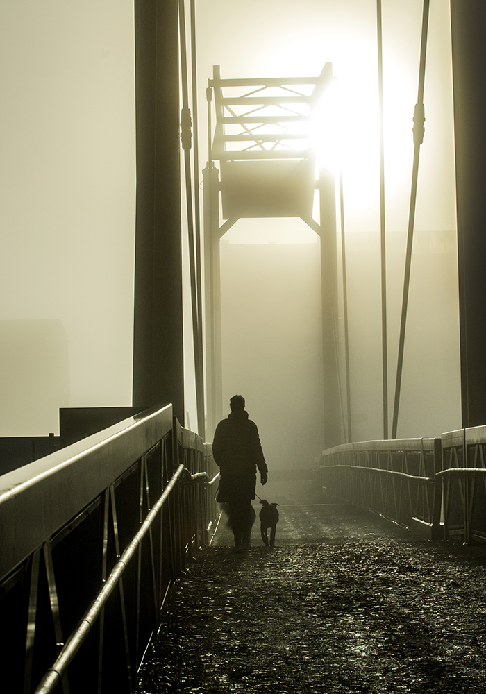20221020 Trollhättan Dimma viid Nohab bron eller Innovatum bron Höst höstfärger man hund Foto: Joachim Nywall FOTO : JOACHIM NYWALL KOD 0708840825_1 COPYRIGHT JOACHIM NYWALL ***BETALBILD*** Redovisas till NYWALL MEDIA AB Strandgatan 30 461 31 Trollhättan Prislista enl BLF , om inget annat avtalas.