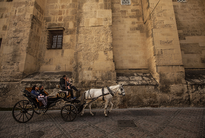 2016 02 19 Cordoba Andalusien Spanien Mezquita i utkanten av gamla stan Häst och vagn ---- FOTO : JOACHIM NYWALL KOD 0708840825_1 COPYRIGHT JOACHIM NYWALL ***BETALBILD*** Redovisas till NYWALL MEDIA AB Strandgatan 30 461 31 Trollhättan Prislista enl BLF , om inget annat avtalas.